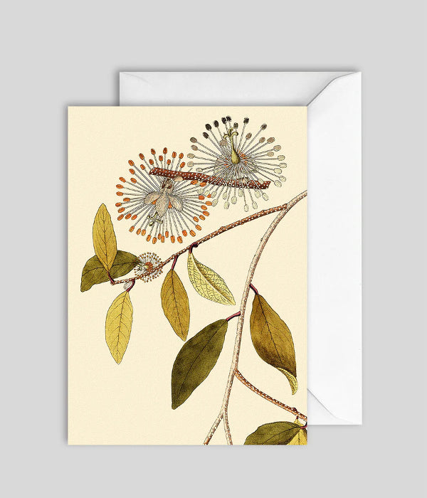 Greeting Card GC7420 - The Dybdahl Co.