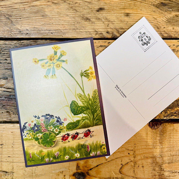 Ladybug Glitter Postcard - Meander