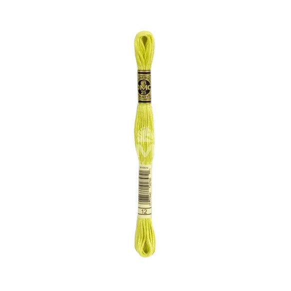 Embroidery Thread Mouliné Special 25 - DMC