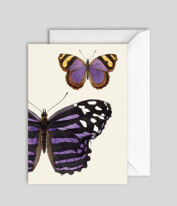 Greeting Card GC7430 - The Dybdahl Co.