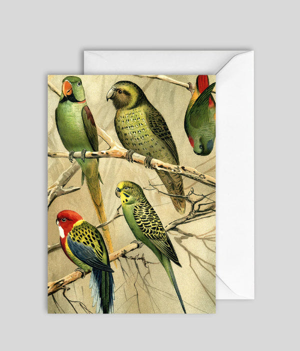Greeting Card GC7439 - The Dybdahl Co.
