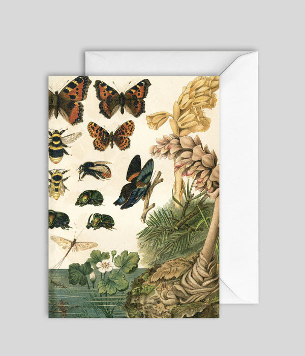Greeting Card GC7446 - The Dybdahl Co.