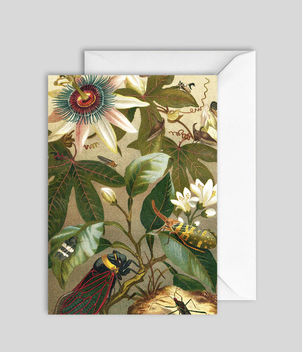 Greeting Card GC7454 - The Dybdahl Co.