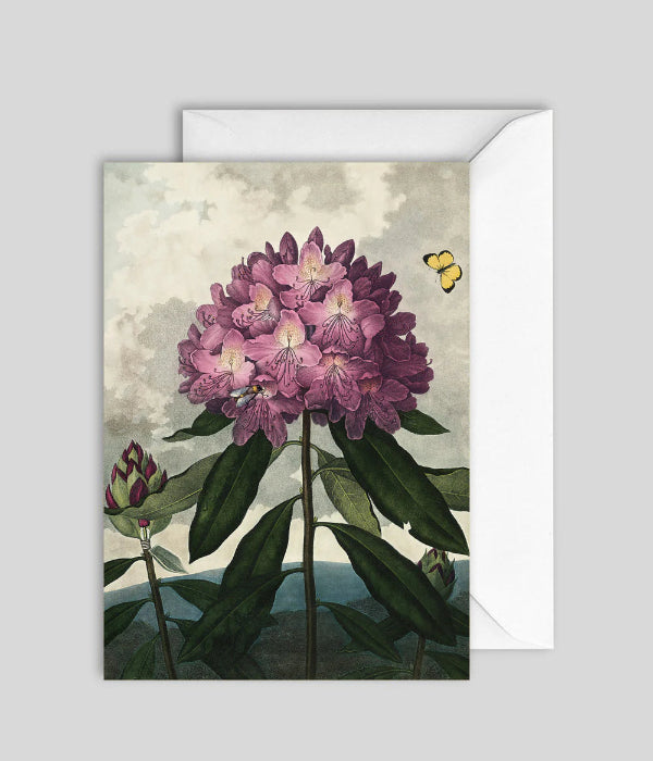 Greeting Card GC7632 - The Dybdahl Co.