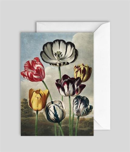 Greeting Card GC7638 - The Dybdahl Co.