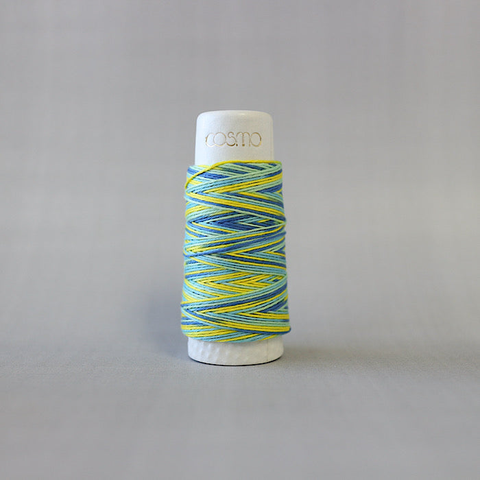 Hidamari Sashiko & —— Thread - LECIEN COSMO