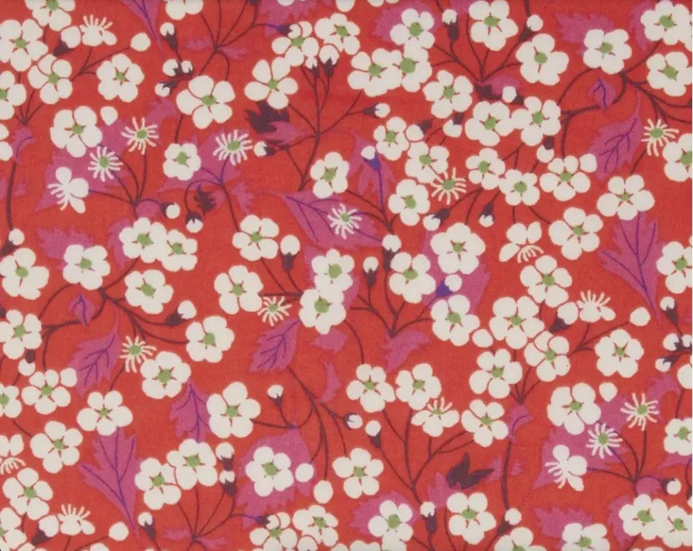 Mitsi - Tana Lawn Cotton - Liberty Fabrics €36,50pm