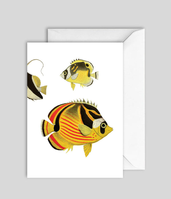 Greeting Card GC7433 - The Dybdahl Co.