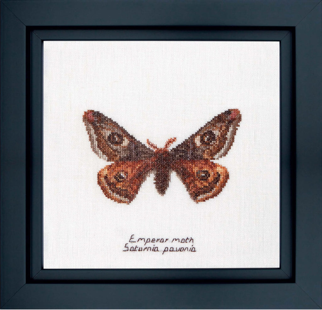 Emperor Moth Cross Stitch Kit - Thea Gouverneur