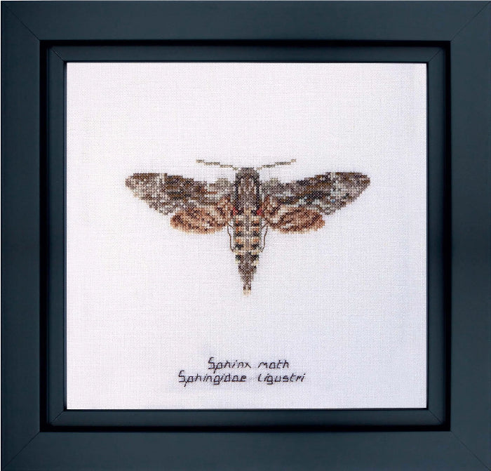 Sphinx Moth Cross Stitch Kit - Thea Gouverneur