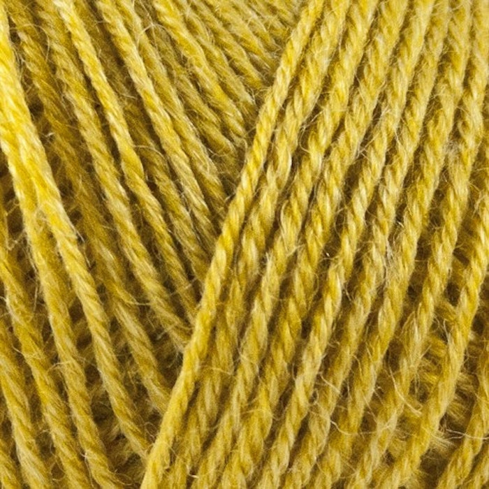 Nettle Sock Yarn -  Onion