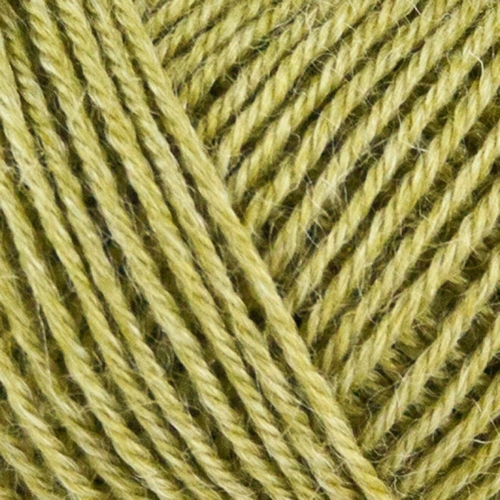 Nettle Sock Yarn -  Onion